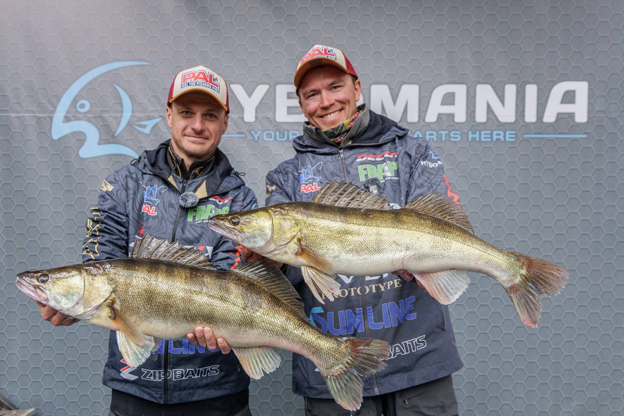 Самый крупный судак 6.8 кг